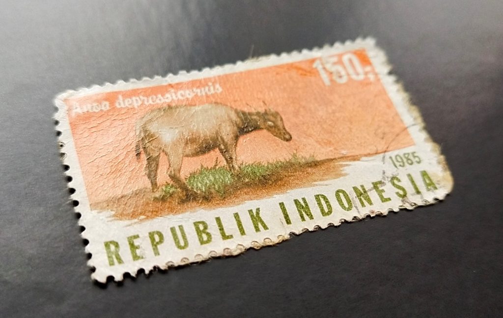 Stamp of an anoa buffalo