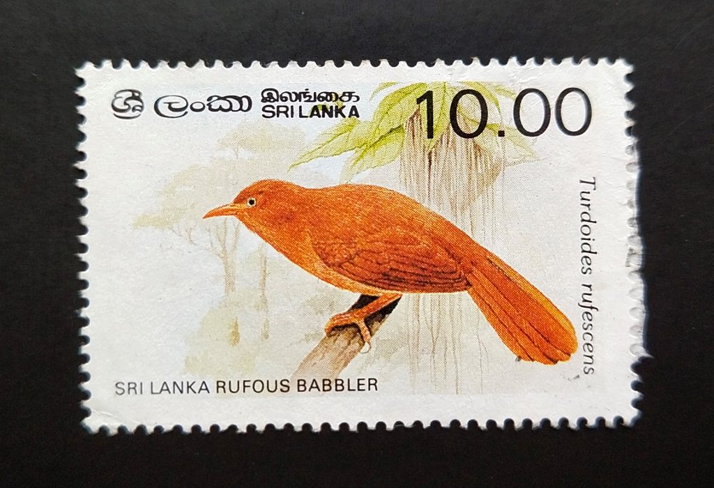 Stamp of a rufous babbler bird