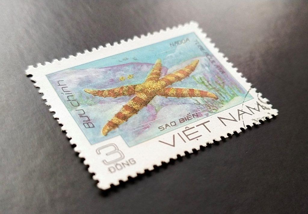Stamp of a starfish